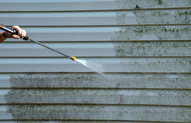 Best Roof Cleaning and Mildew Removal in Edcouch, TX