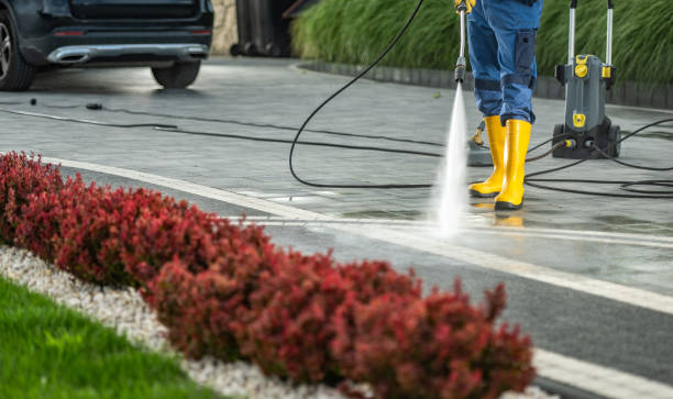 Best Soft Washing for Delicate Surfaces in Edcouch, TX